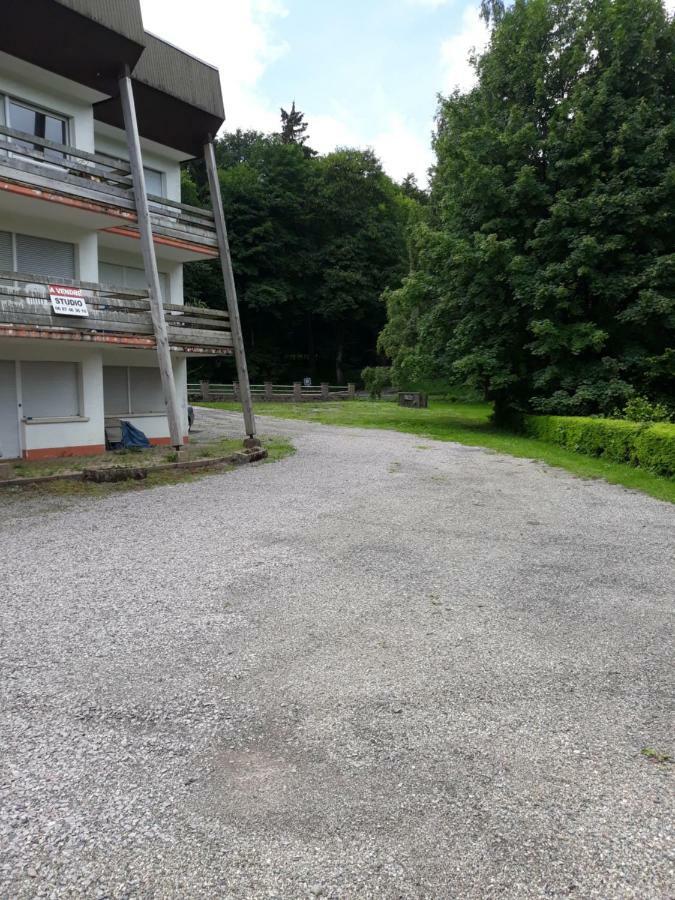 Residence Le Faucon - Col Du Donon Grandfontaine  Exterior foto